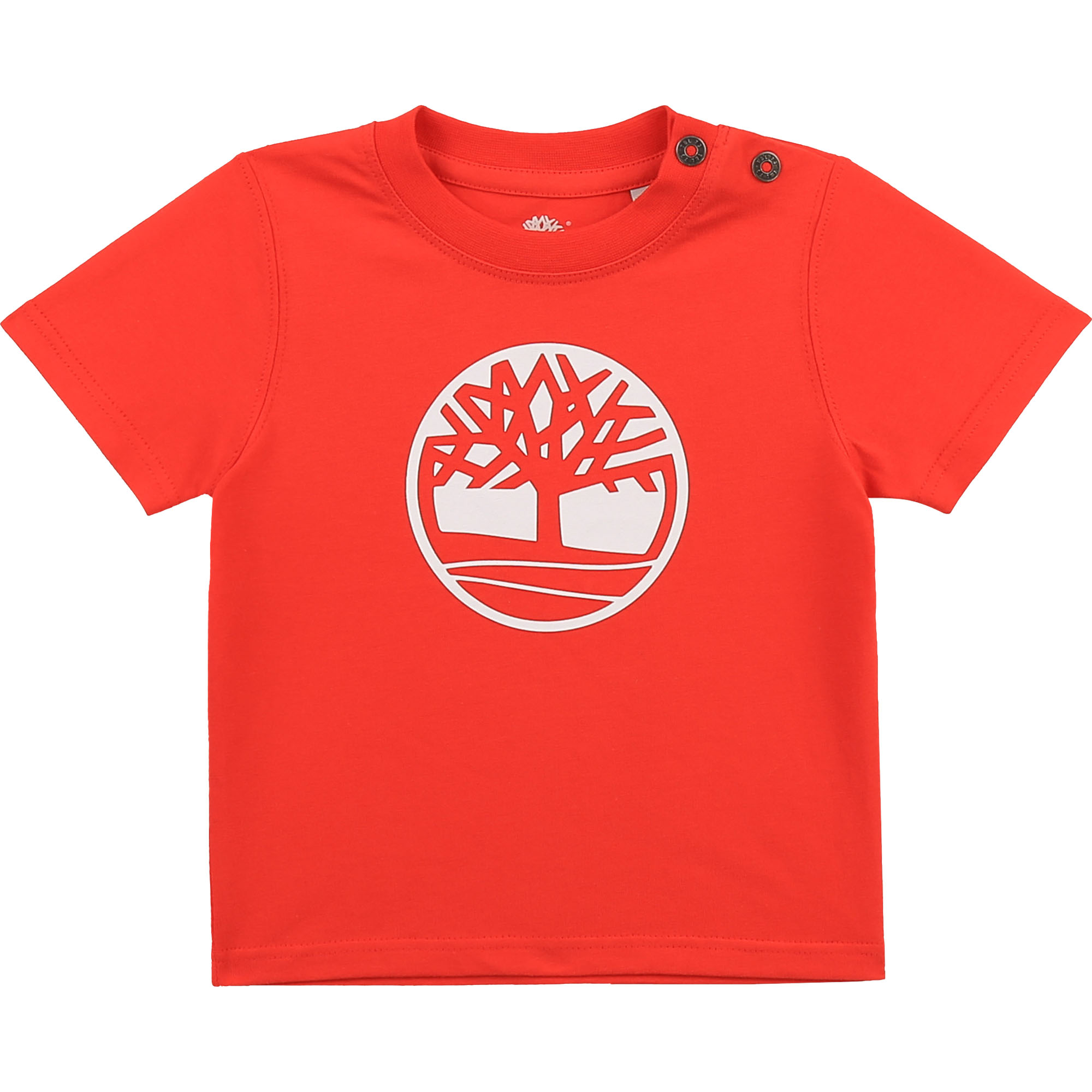https://kids-avenue.com.ua/pages/gallery/2516/T05J81_42M_001.jpg