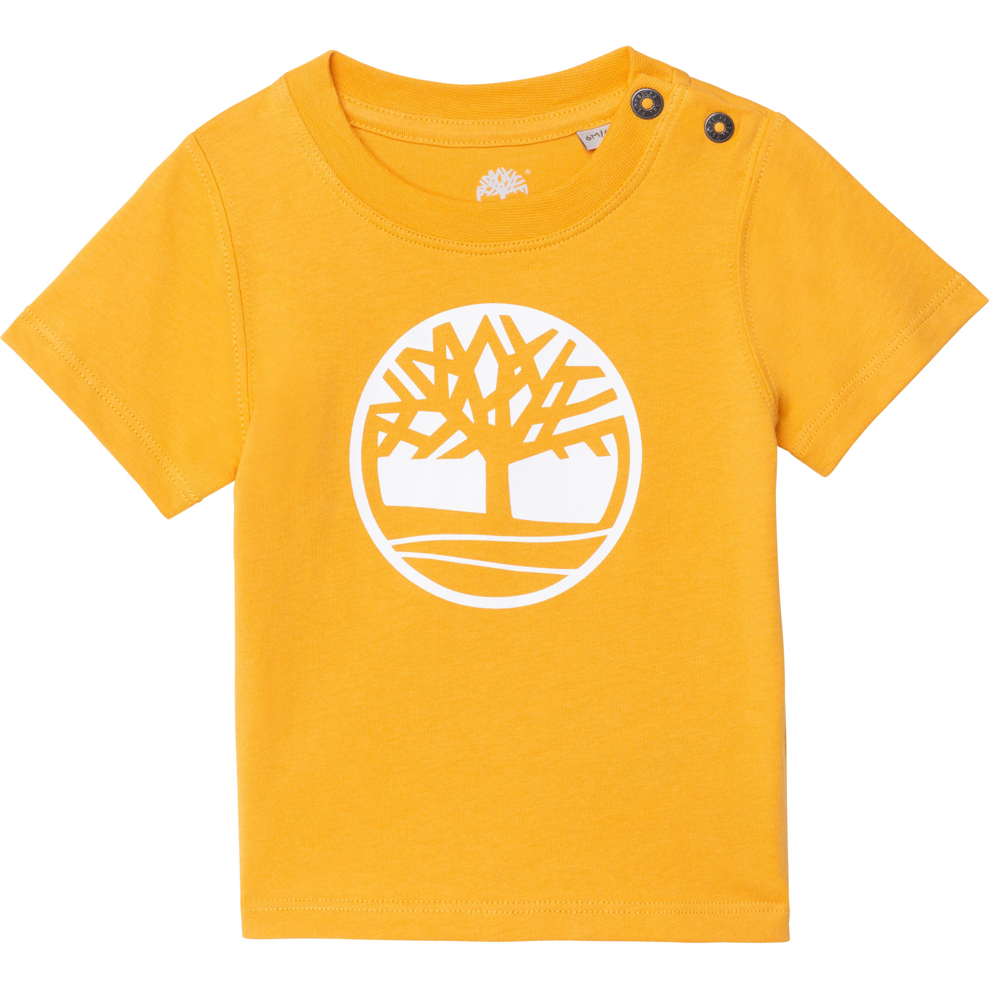 https://kids-avenue.com.ua/pages/gallery/2517/T05J81_565_001.jpg