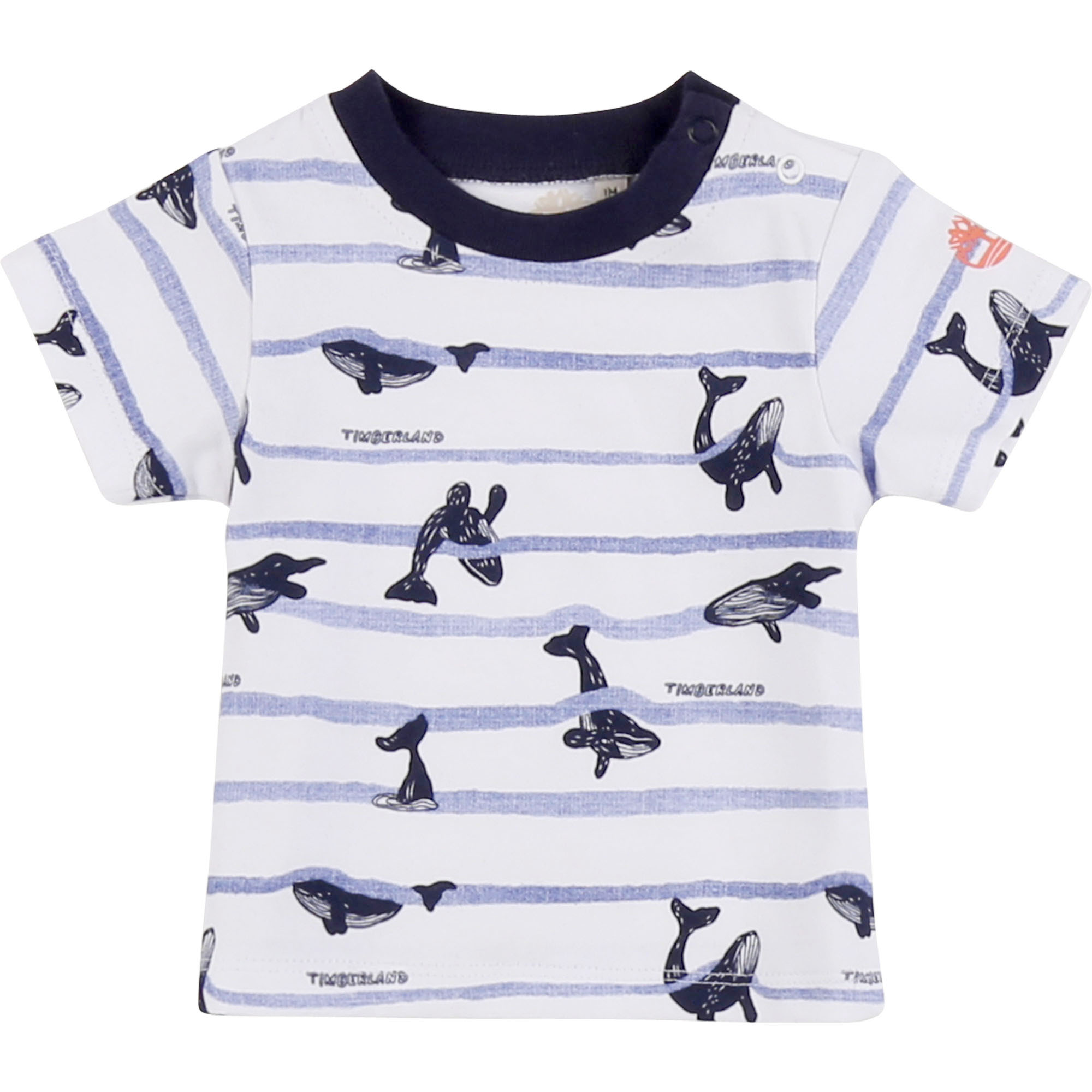 https://kids-avenue.com.ua/pages/gallery/2534/T95883_10B_001.jpg