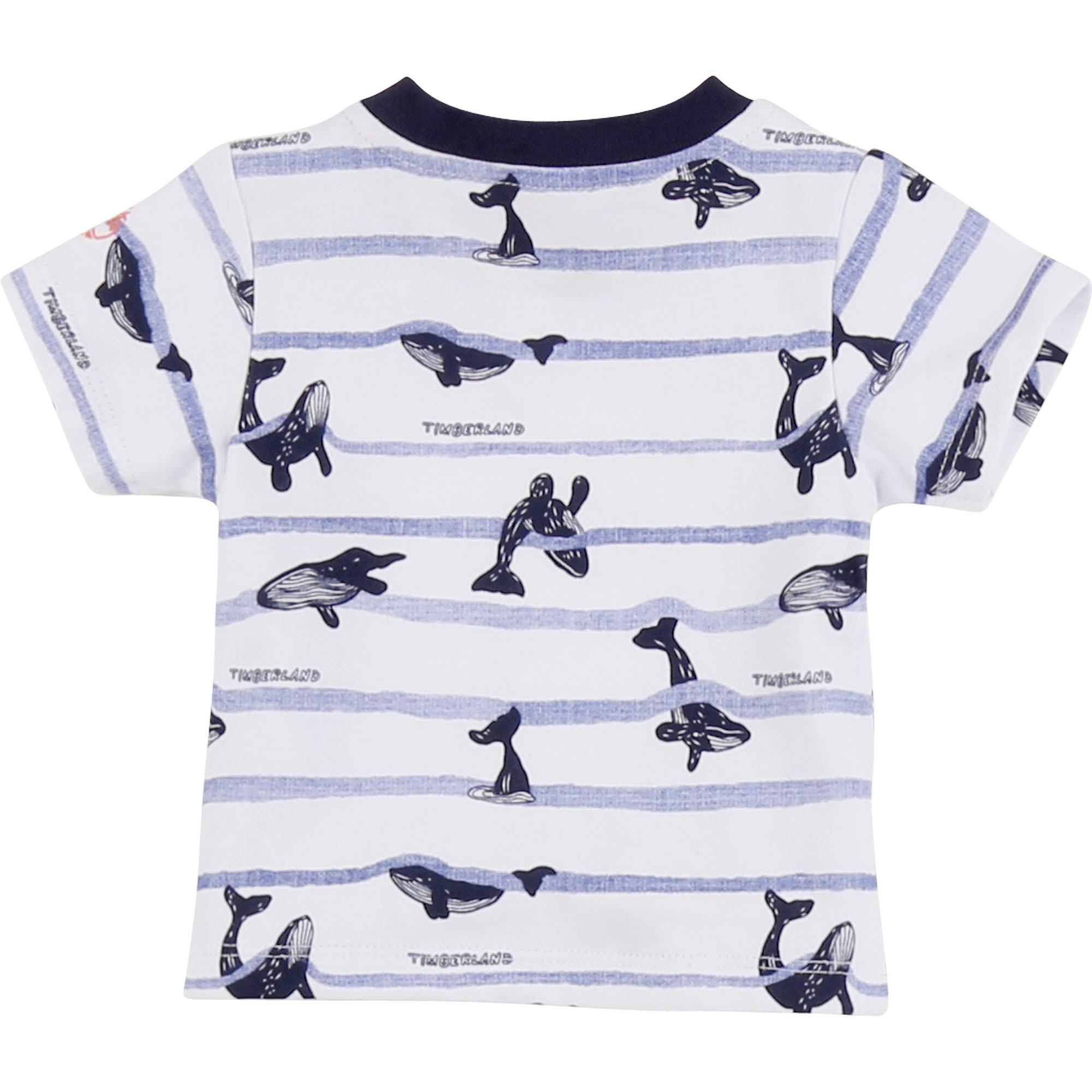 https://kids-avenue.com.ua/pages/gallery/2534/T95883_10B_002.jpg